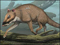 'حلقه گمشده' نهنگ پیدا شد