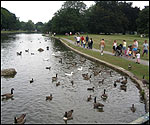 Lake