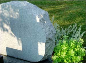 عکس از فريد مقامی