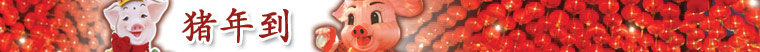猪年到
