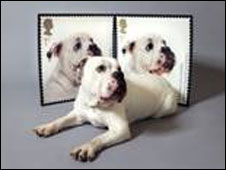 Selos comemorativos dos correios britânicos mostram cães e gatos (Royal Mail)