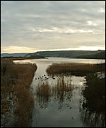 Slapton Ley