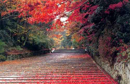 Qixia Mountain today. (The name literally means 