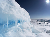 یخ های قطبی 