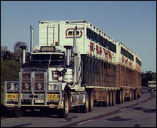 An Australian 'road-train'