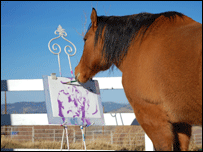 Cavalo pintor. Foto copyright Cholla