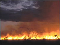 Incêndio na Amazônia