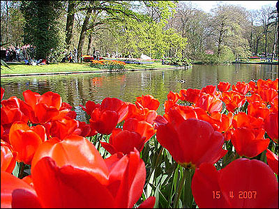 بهار در هلند