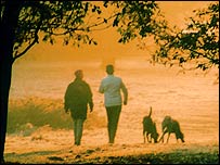 People walking with their dogs