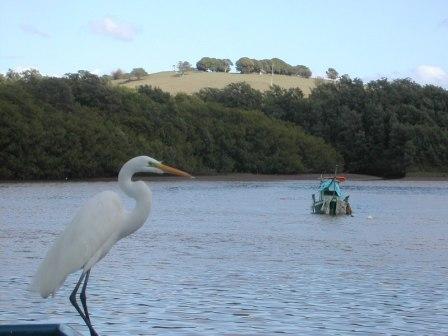 I know this picture has nothing to do with the blog today...