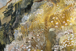 Kim Atkinson - image courtesy of The Wildlife Art Gallery