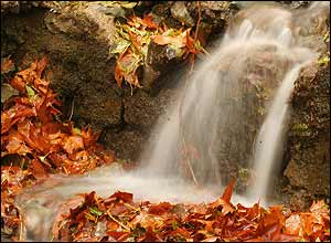 عکس از رضا معتقدی