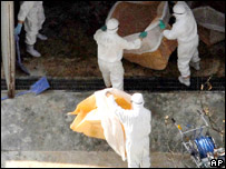 Autoridades desinfetam fazenda em Hyuga