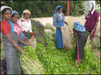 महिलाएँ