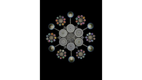 Diatomáceas (Foto: Matthias Burba/Naturwissenschaftlicher Verein Hamburg/Cortesia Nikon Small World)