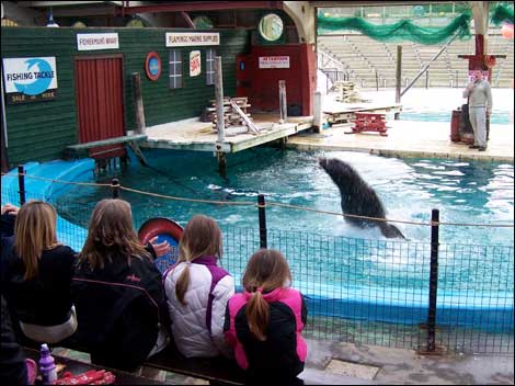 Youngsters at a Marine Zoo