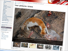 Your pictures of grime