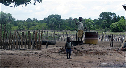 Crianças numa tabanca