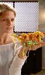 Buffy gets to the heart of the Adam problem.