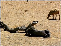 ہسپانیہ میں بنجر زمین 