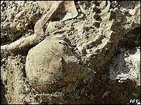 Srebrenitza'daki bir toplu mezar