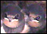 Swallows