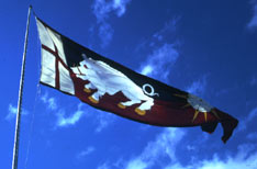 Richard III flag