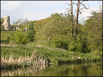 Summer trees and river at Wimpole Hall's parkland 