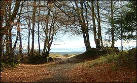The seaward view from Woodbury Common hill fort