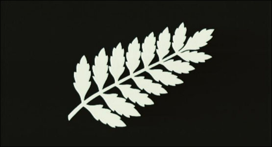 ट्वेन्टी 20 क्रिकेट की शुरुआत