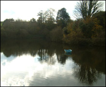 Reflections at Queen's Valley