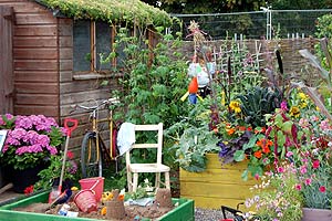 childrens_allotment_garden.jpg