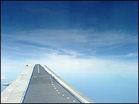 Out of the plane window