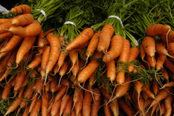 Carrots