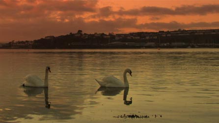 Pembroke Dock at Sunset