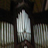 organ