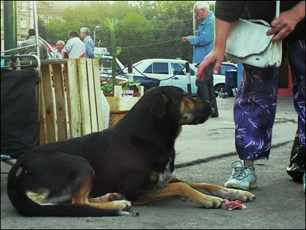 Фото Олега Таткова