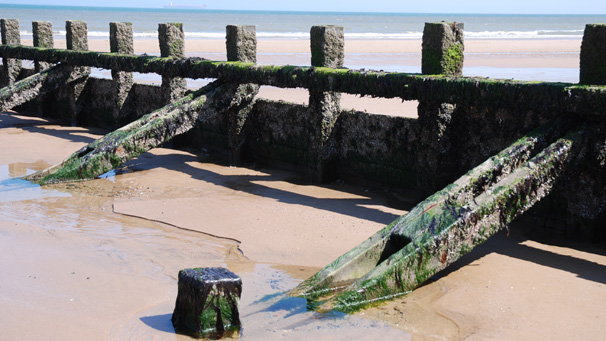 A seaweed-covered groyne.