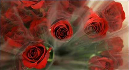 वैलेंटाइन्स डे