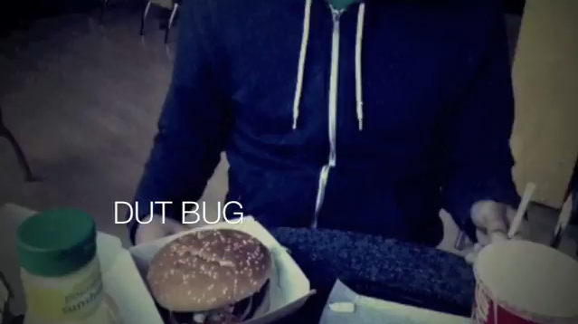 Dut Bug