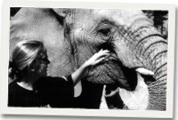 Nerys Williams gyda'r eliffantod