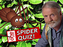 George McGavin quiz graphic