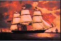 Llun oddi ar glawr llyfr Elvey Macdonald, 'Dyddiadur Mimosa'