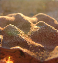 ساختارهای پيبارا (ابيگيل الوود/اِی سی اِی)