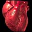 Coração
