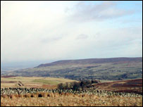 Dales nr Redmire: Matt Seymour
