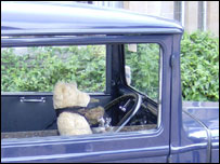 George Bear in a car