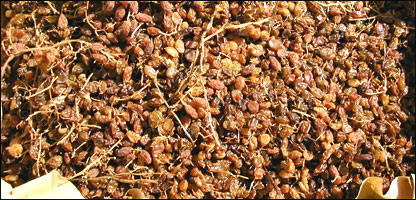 د مميزو بازار