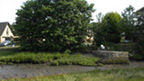 Colour view of a mud-filled inlet, with steps leading down to it. There is a row of cottages and some large trees behind.