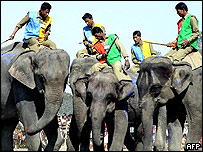 ہاتھیوں کے منہ کو مقامی بیئر بھی لگ گئی ہے